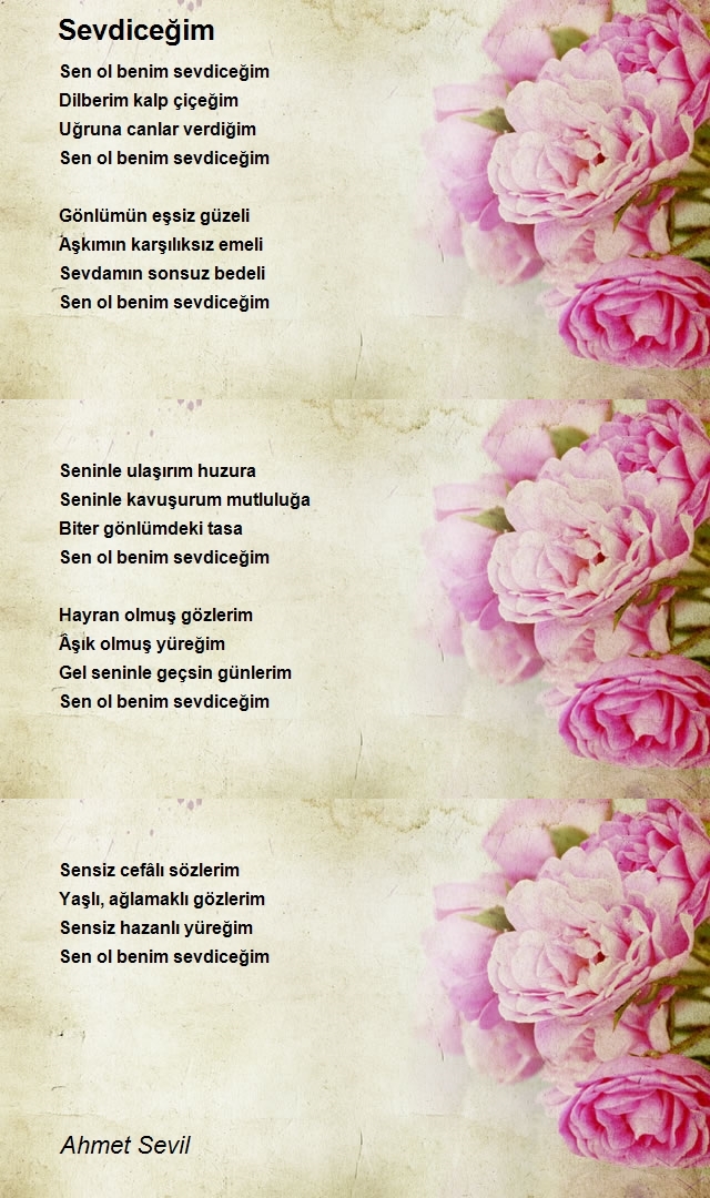 Ahmet Sevil