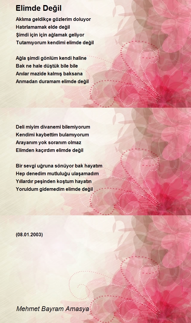 Mehmet Bayram Amasya