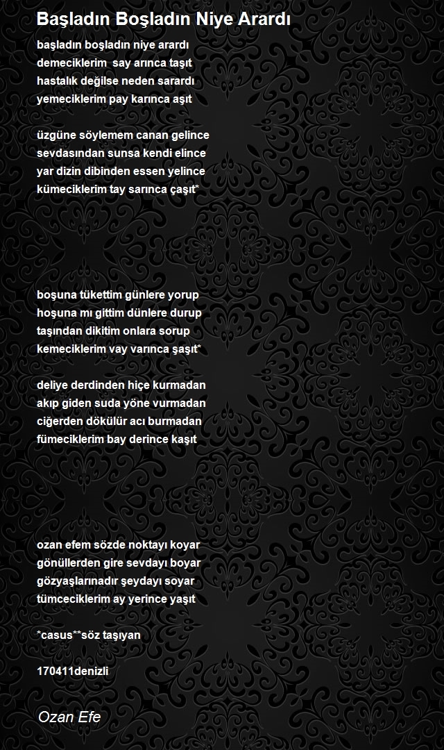 Ozan Efe