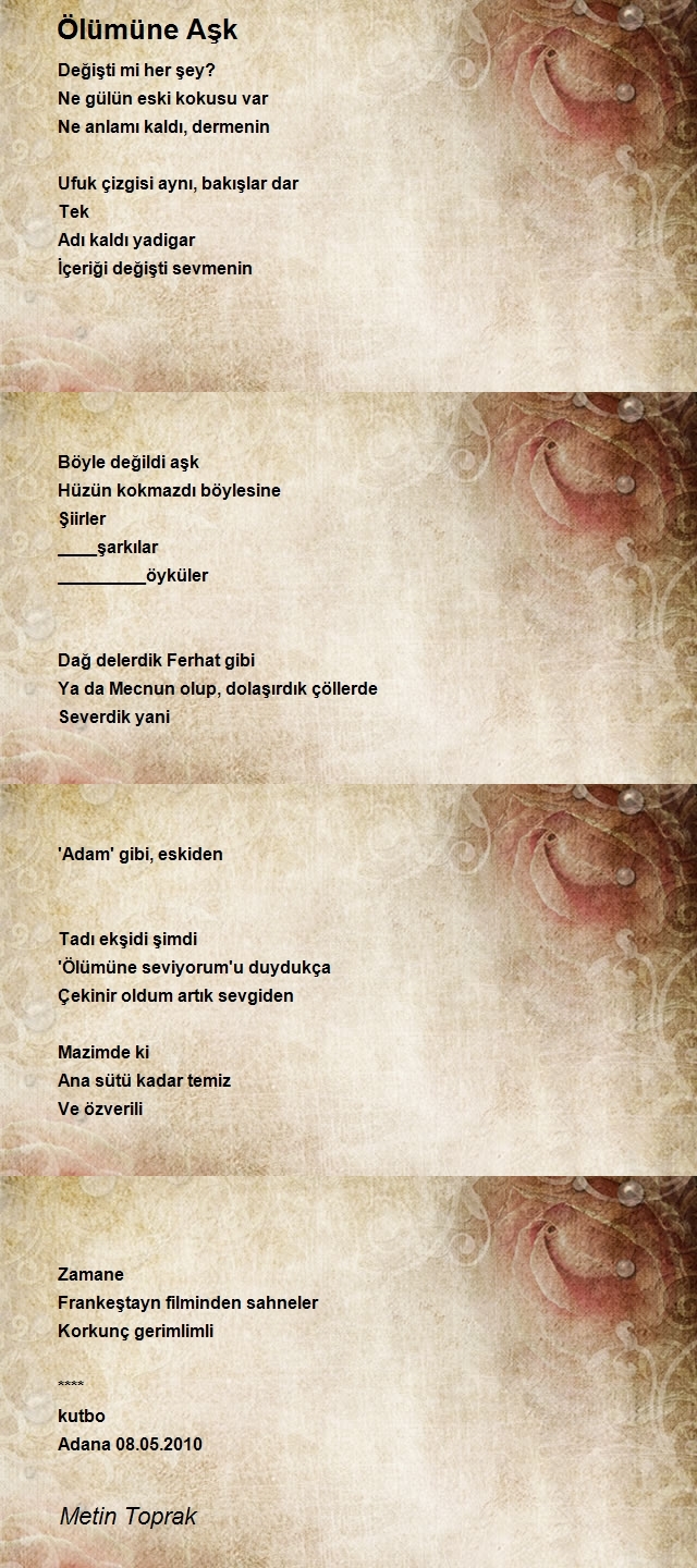 Metin Toprak