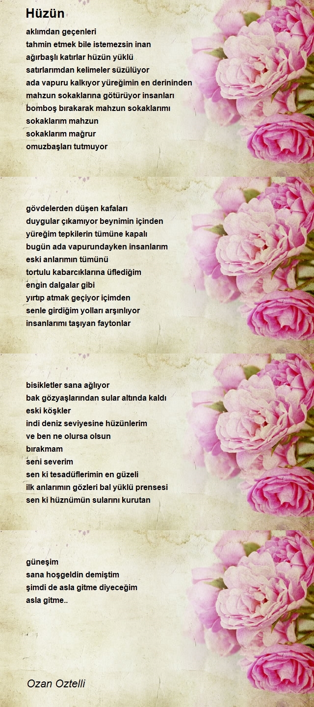 Ozan Oztelli