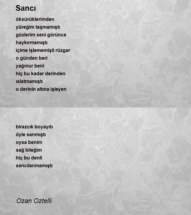 Ozan Oztelli