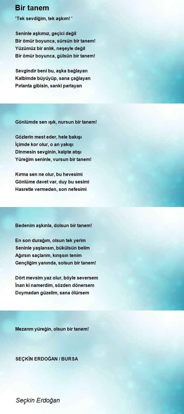 Seçkin Erdoğan