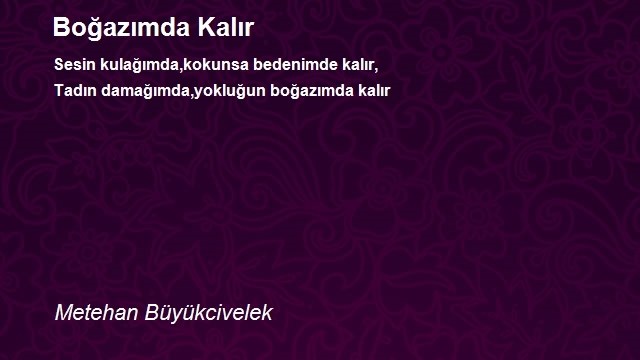 Metehan Büyükcivelek
