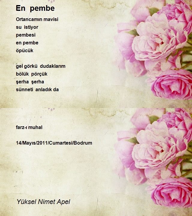 Yüksel Nimet Apel