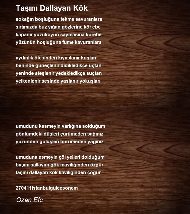 Ozan Efe