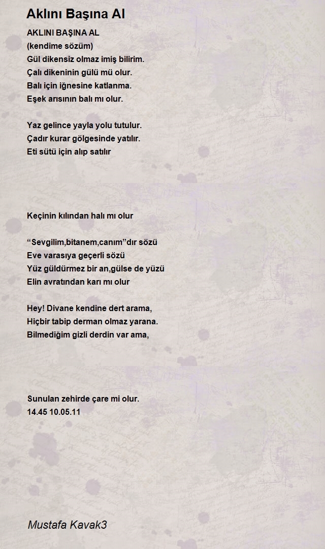 Mustafa Kavak3