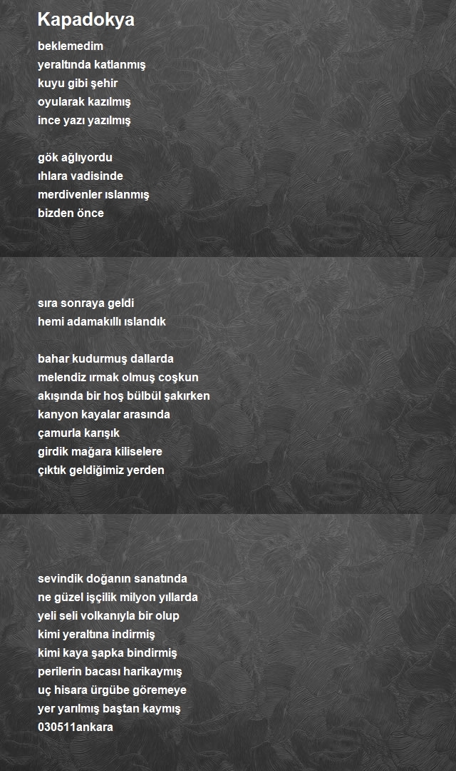 Ozan Efe