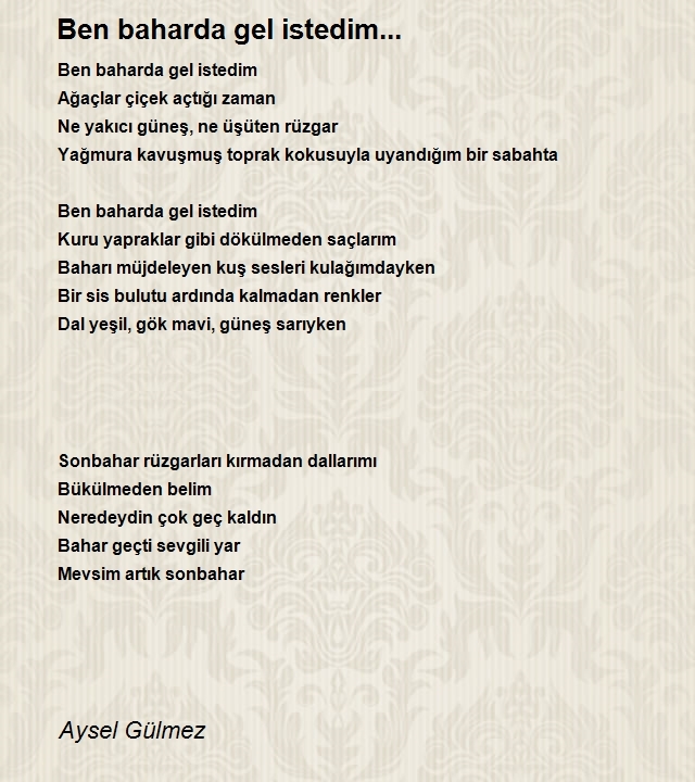 Aysel Gülmez