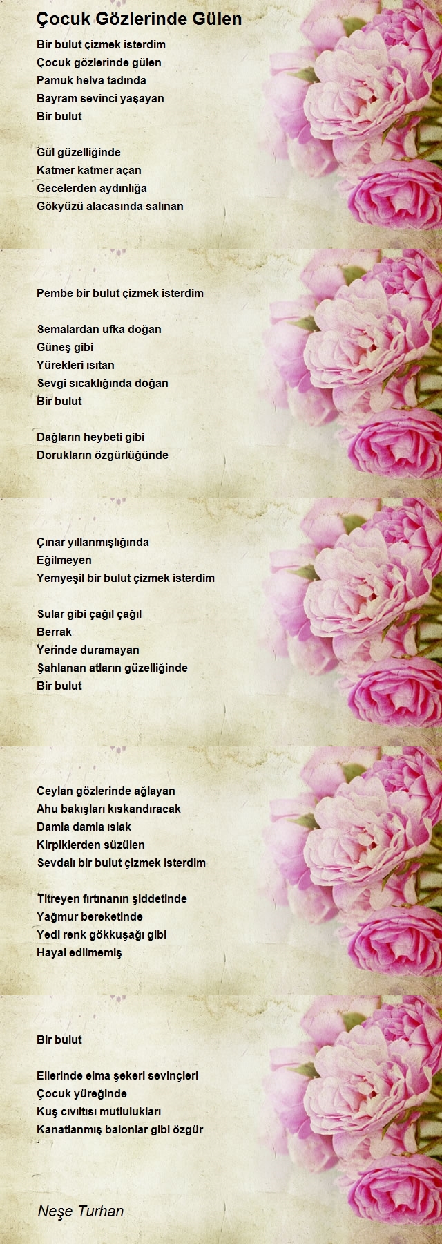Neşe Turhan