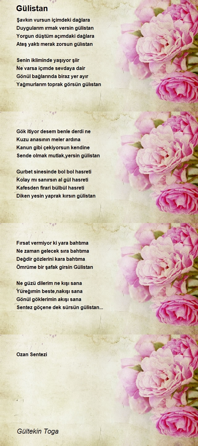 Gültekin Toga