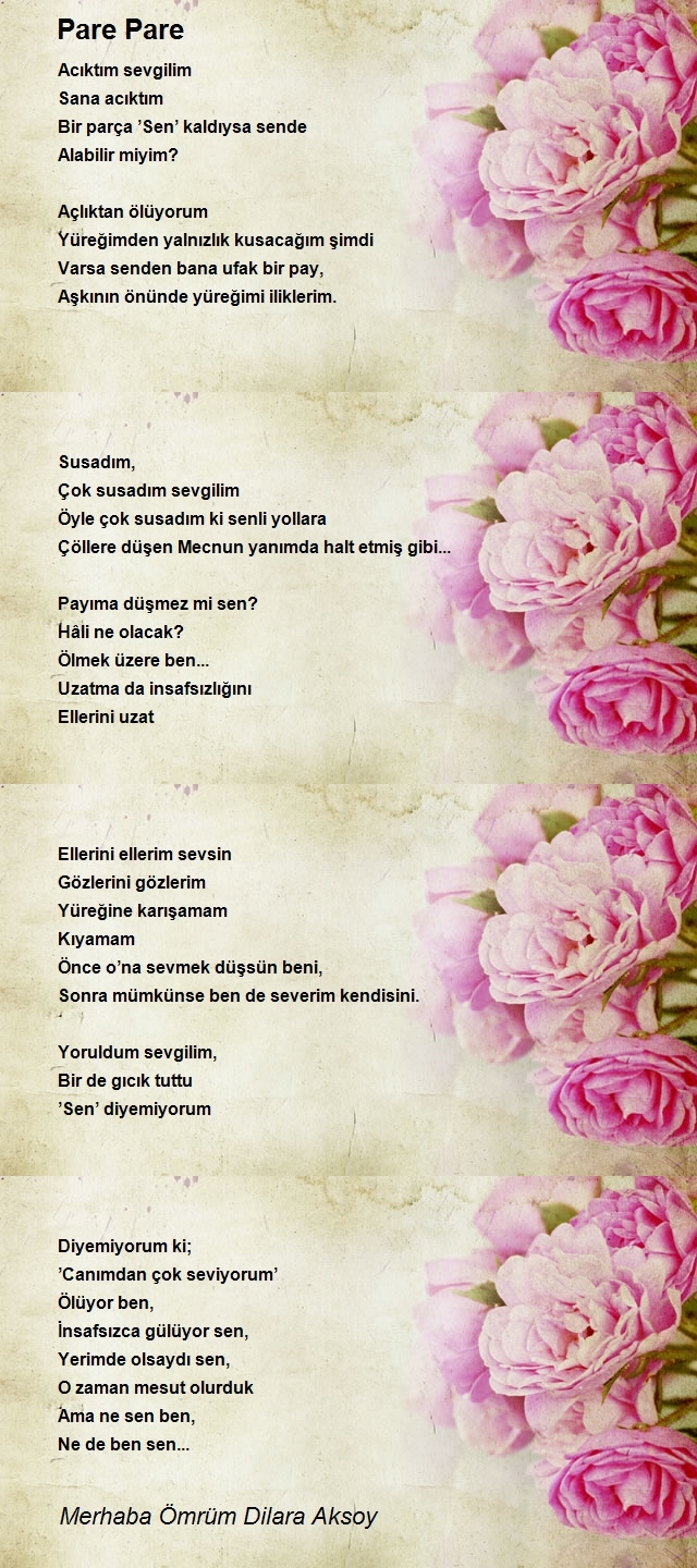 Merhaba Ömrüm Dilara Aksoy