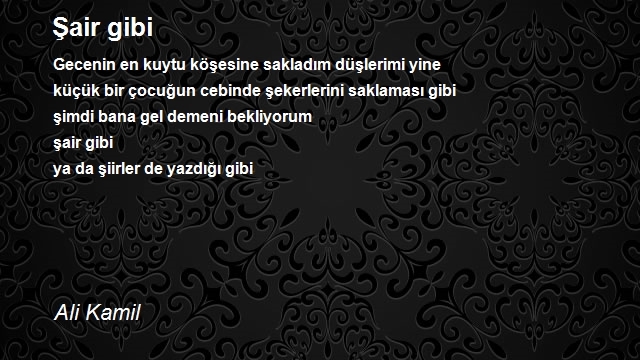 Ali Kamil