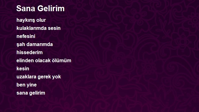 Ozan Oztelli