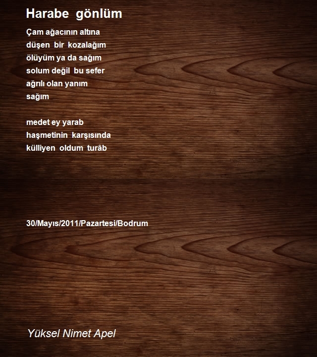 Yüksel Nimet Apel