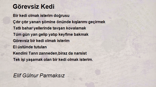 Elif Gülnur Parmaksız