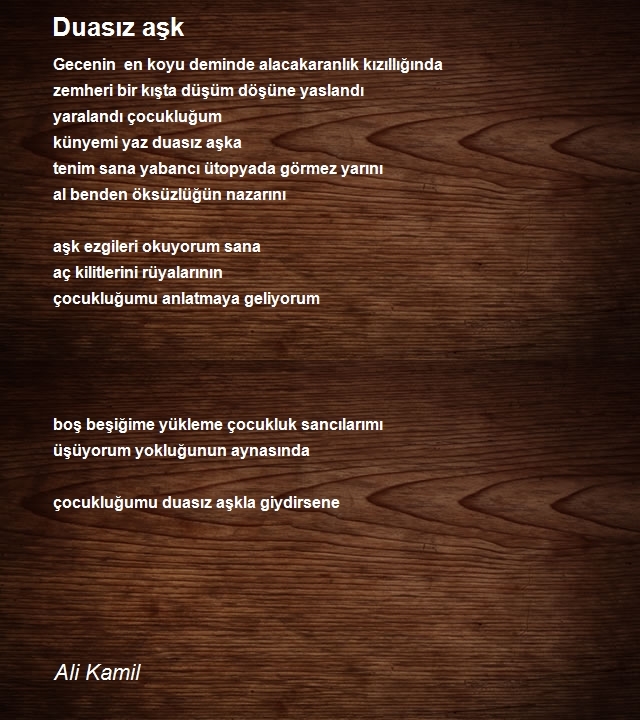 Ali Kamil