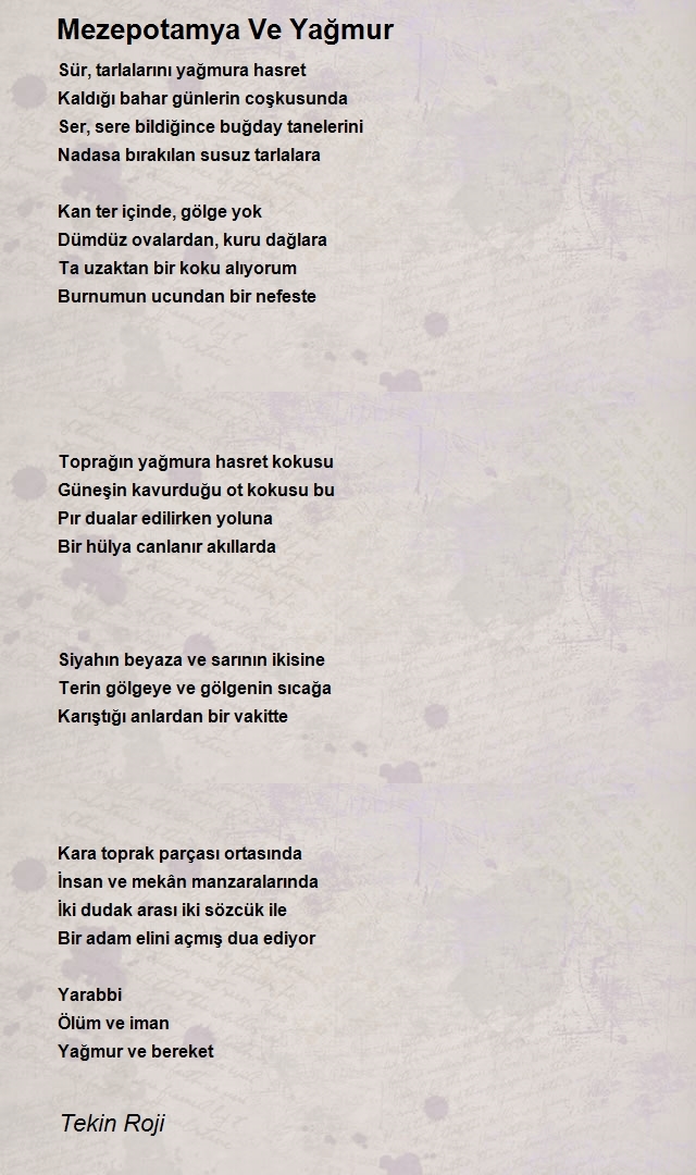 Tekin Roji