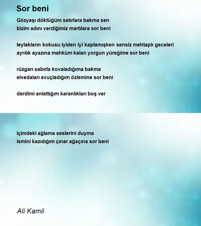 Ali Kamil