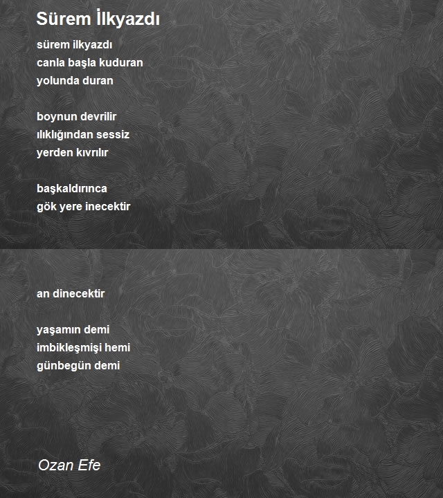 Ozan Efe