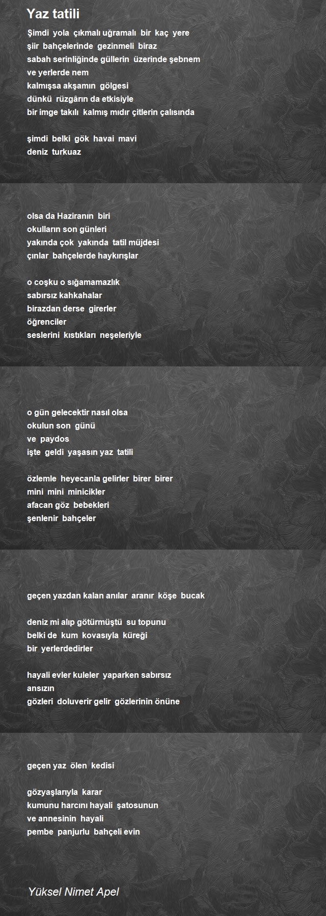 Yüksel Nimet Apel