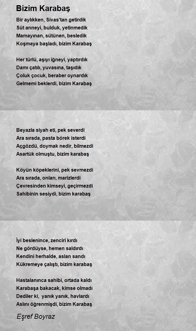 Eşref Boyraz
