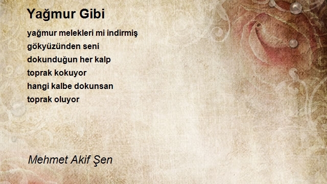 Mehmet Akif Şen