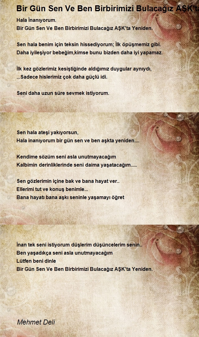Mehmet Deli