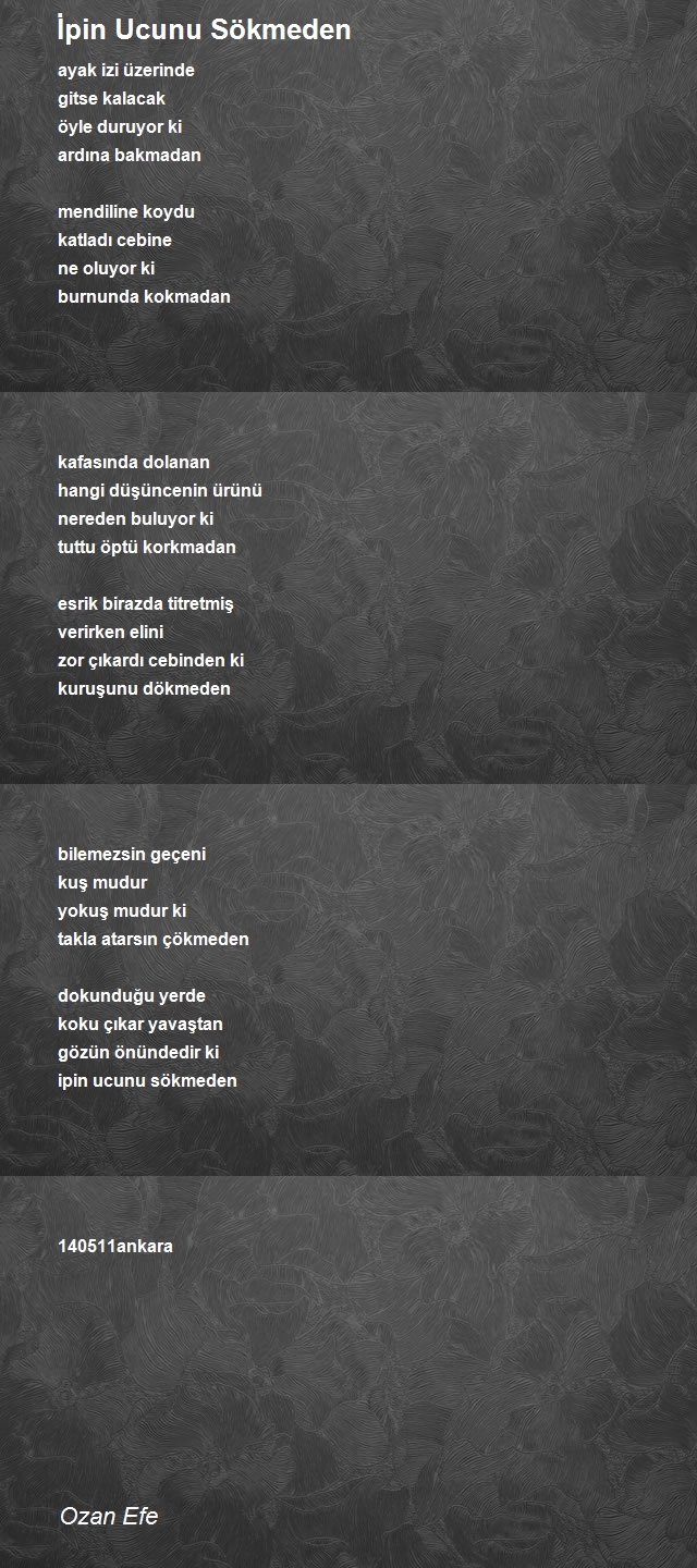 Ozan Efe