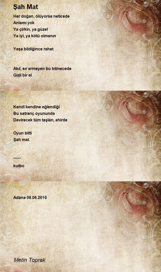 Metin Toprak