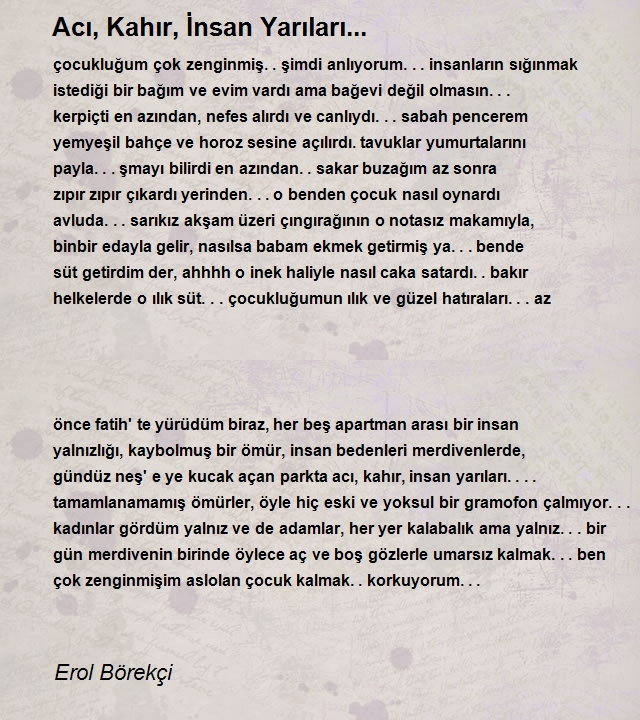 Erol Börekçi