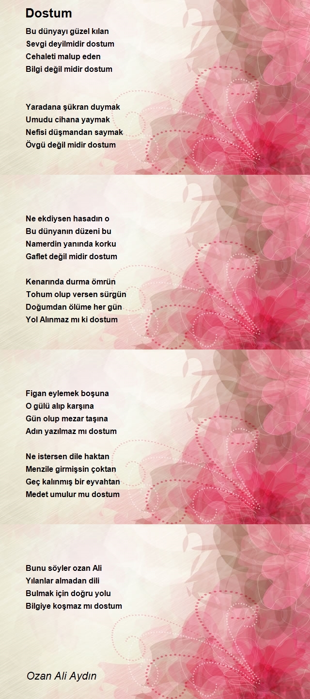 Ozan Ali Aydın