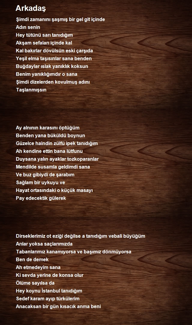 Sevim Aslan