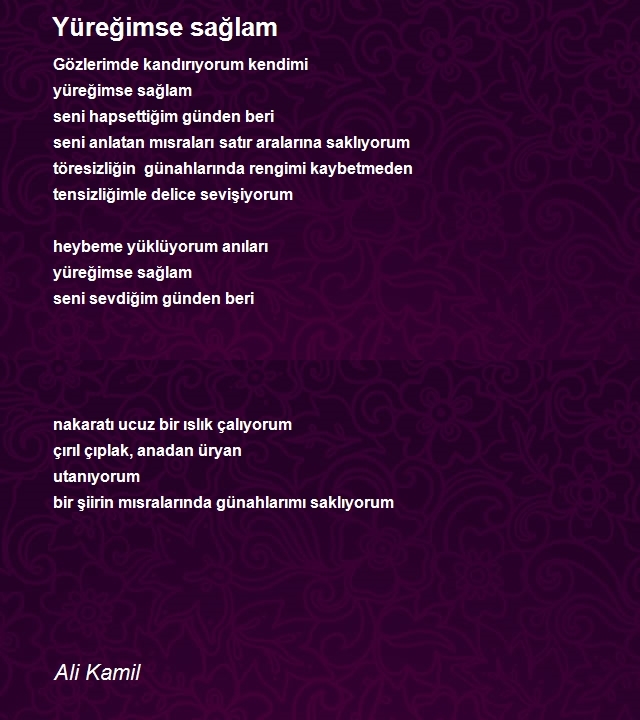 Ali Kamil