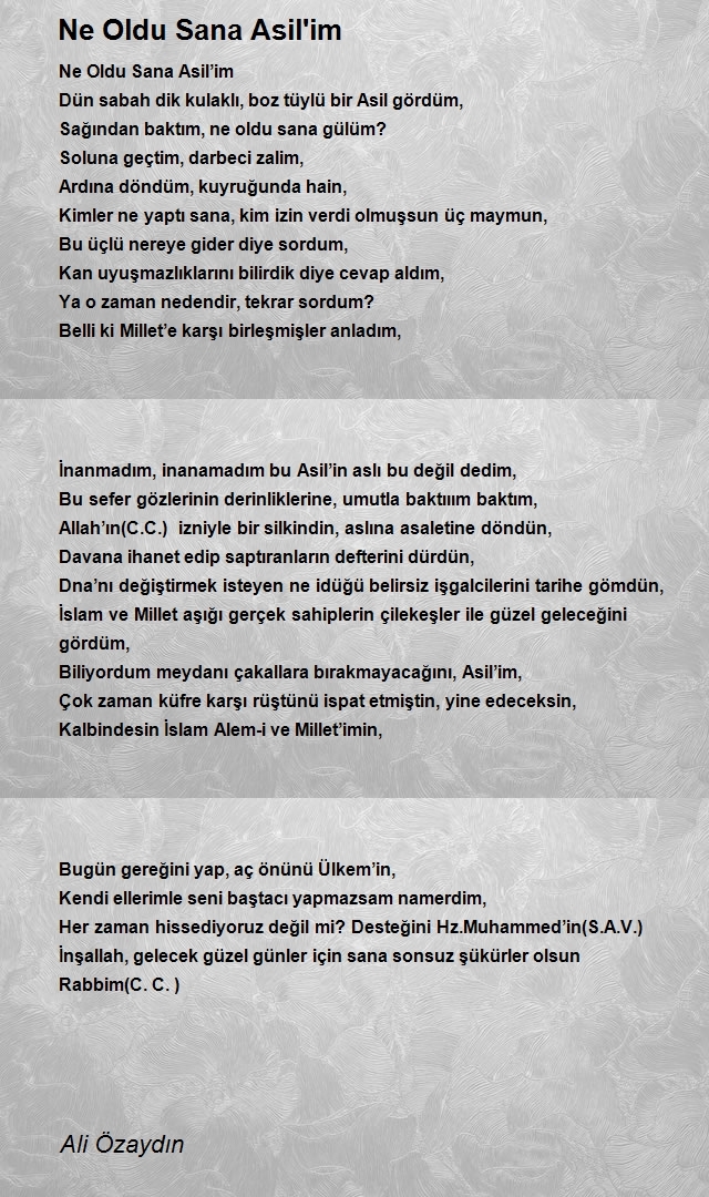Ali Özaydın