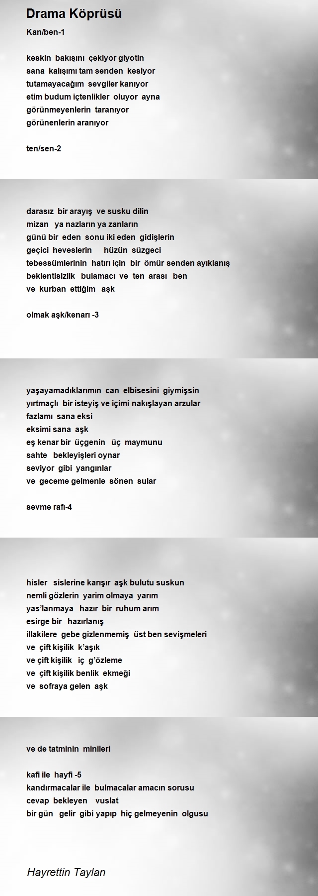 Hayrettin Taylan