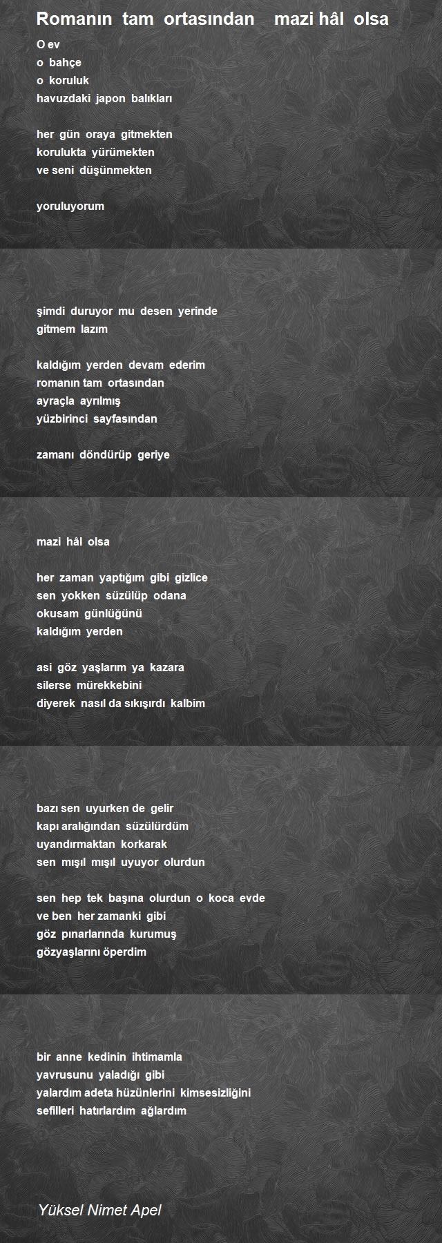 Yüksel Nimet Apel