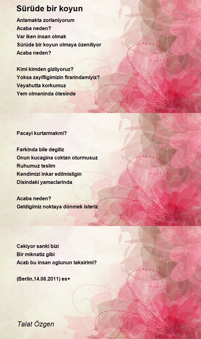 Talat Özgen