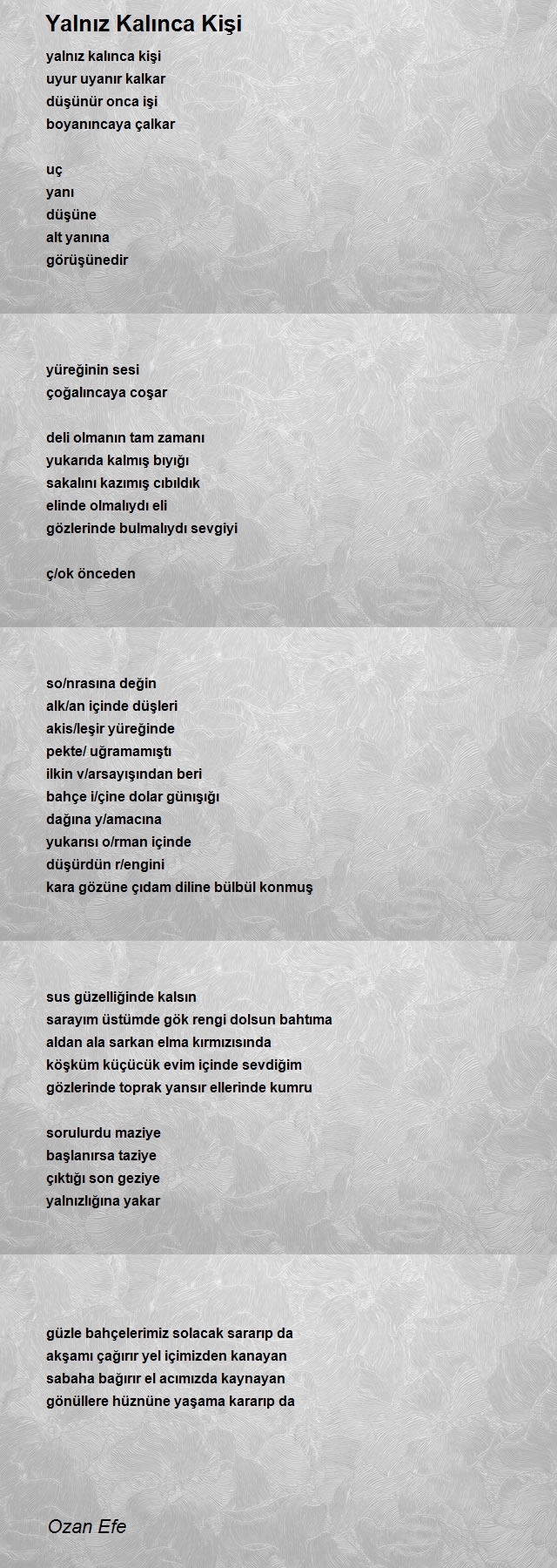 Ozan Efe