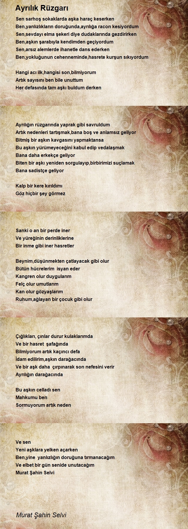 Murat Şahin Selvi