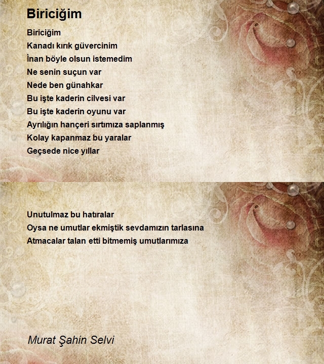 Murat Şahin Selvi