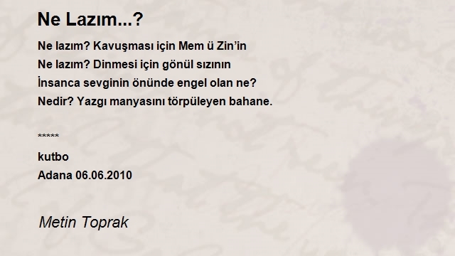 Metin Toprak