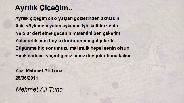 Mehmet Ali Tuna