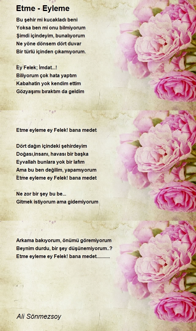Ali Sönmezsoy