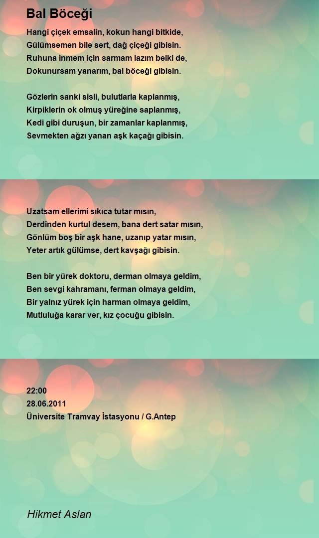Hikmet Aslan