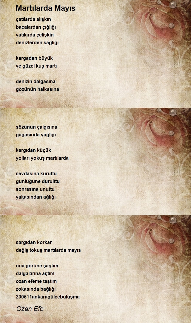 Ozan Efe