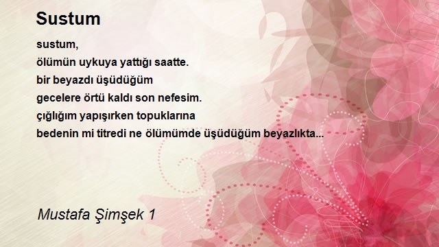 Mustafa Şimşek 1