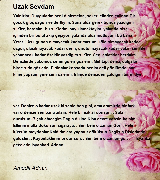 Amedli Adnan