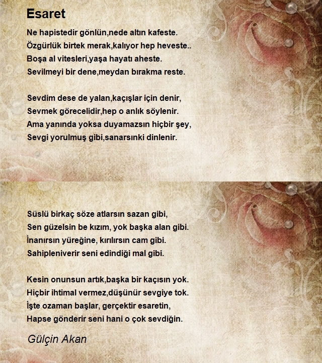 Gülçin Akan