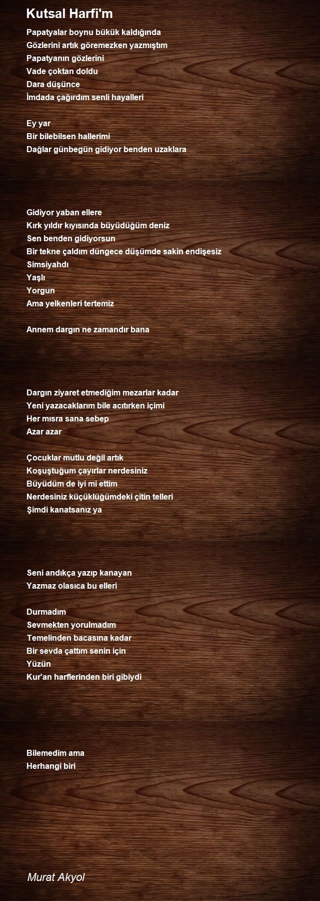 Murat Akyol